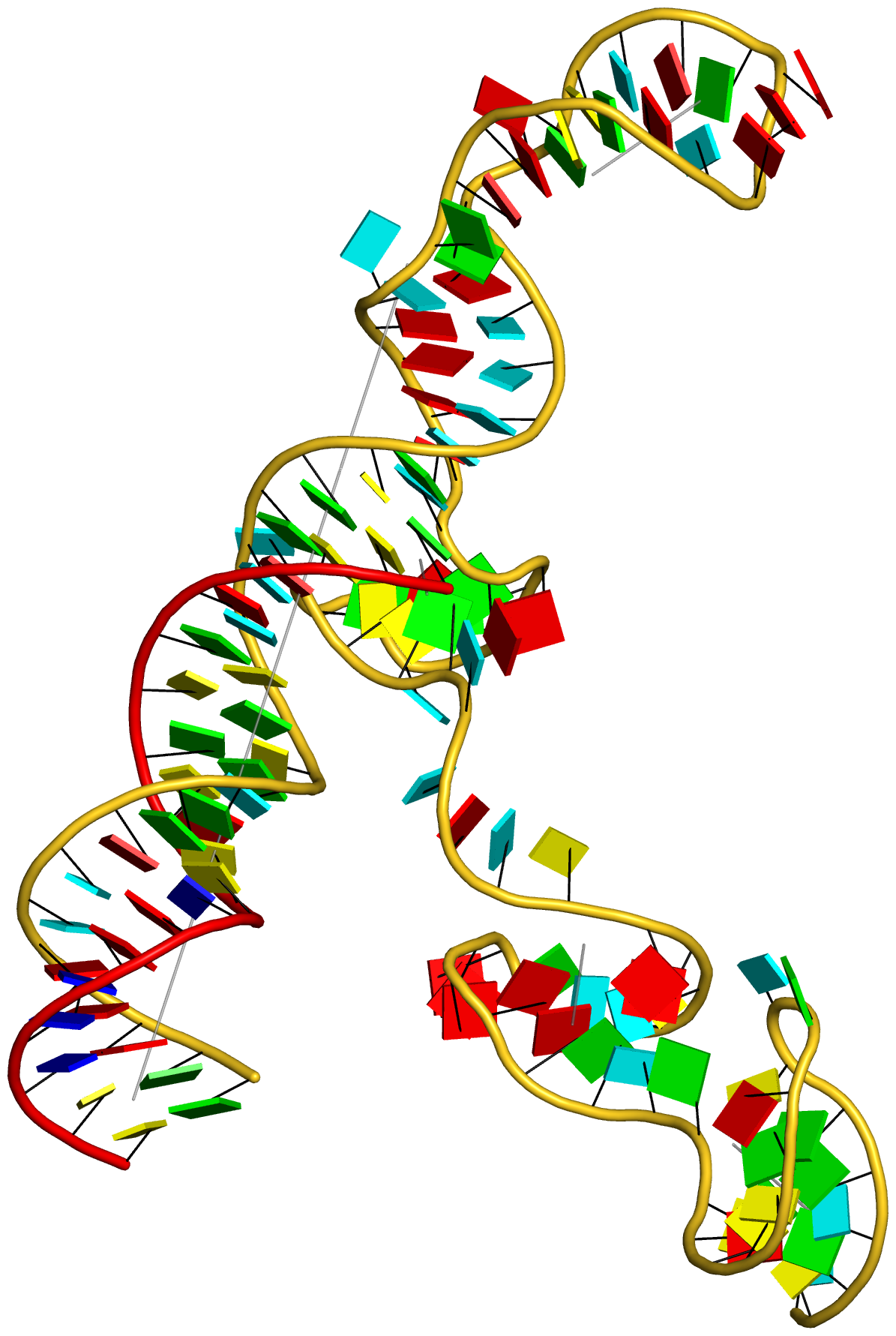 "cartoon-block image of the CRISPR Cas9-sgRNA-DNA ternary complex (4oo8)" title="cartoon-block image of the CRISPR Cas9-sgRNA-DNA ternary complex (4oo8)"